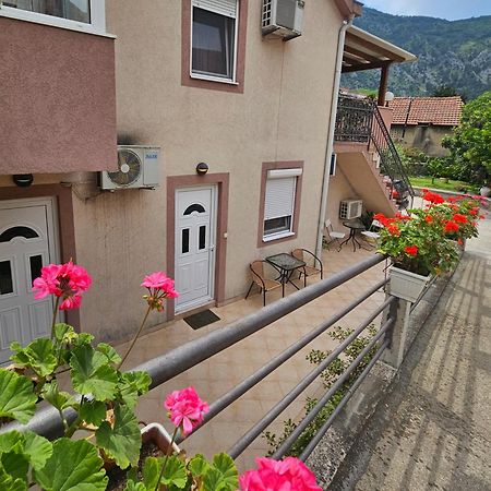 Apartment Aleksandar Kotor Eksteriør bilde